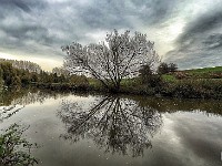 The Stillness  The viewpoint for this, and several others in the exhibition collapsed into the river not long ago, sadly. If you are on my list, you got this as a 2015 Christmas card so it might be familiar! £250